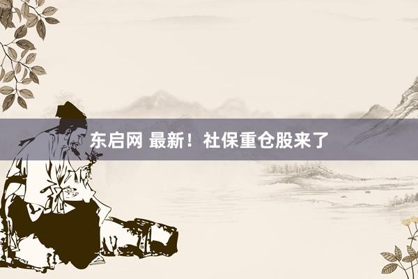 东启网 最新！社保重仓股来了