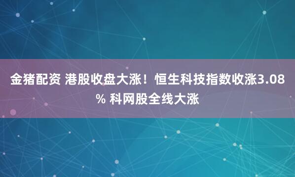 金猪配资 港股收盘大涨！恒生科技指数收涨3.08% 科网股全线大涨