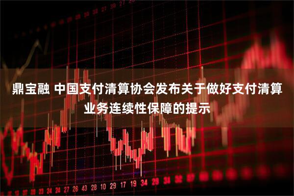 鼎宝融 中国支付清算协会发布关于做好支付清算业务连续性保障的提示