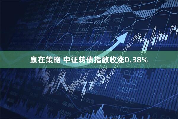 赢在策略 中证转债指数收涨0.38%