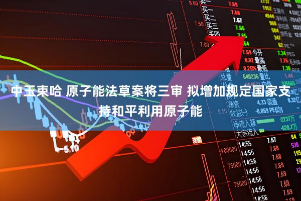 中玉束哈 原子能法草案将三审 拟增加规定国家支持和平利用原子能